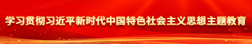 女人被躁的视频免费网站学习贯彻习近平新时代中国特色社会主义思想主题教育